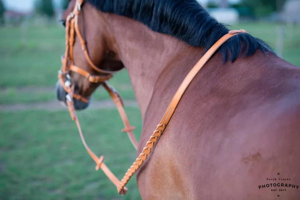 Handgemaakte lederen hoofdstel voor paarden